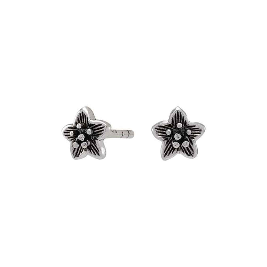 NOA Kids Ohrstecker Sterlingsilber, Sternform